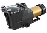 In-Ground Pumps